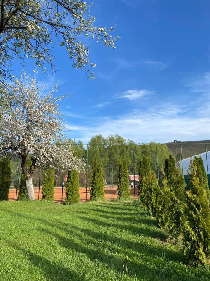 Luna Apartment Novi Pazar Exterior foto